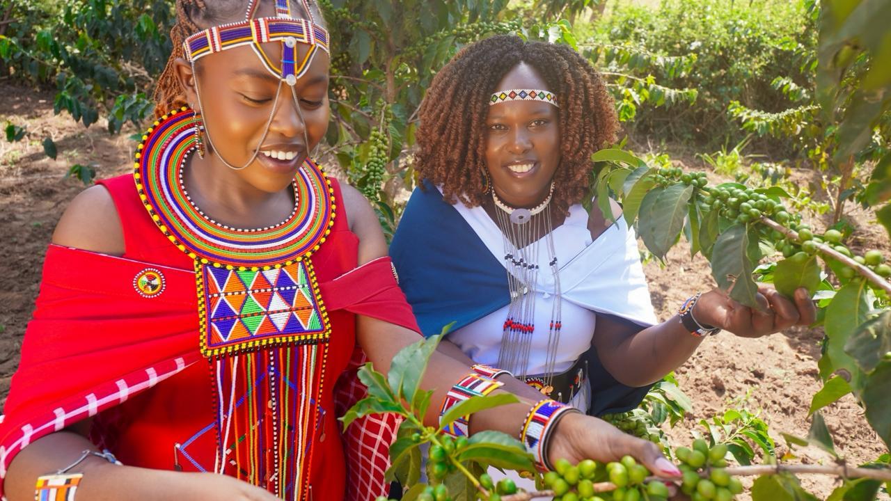 Farmer training on agroforestry