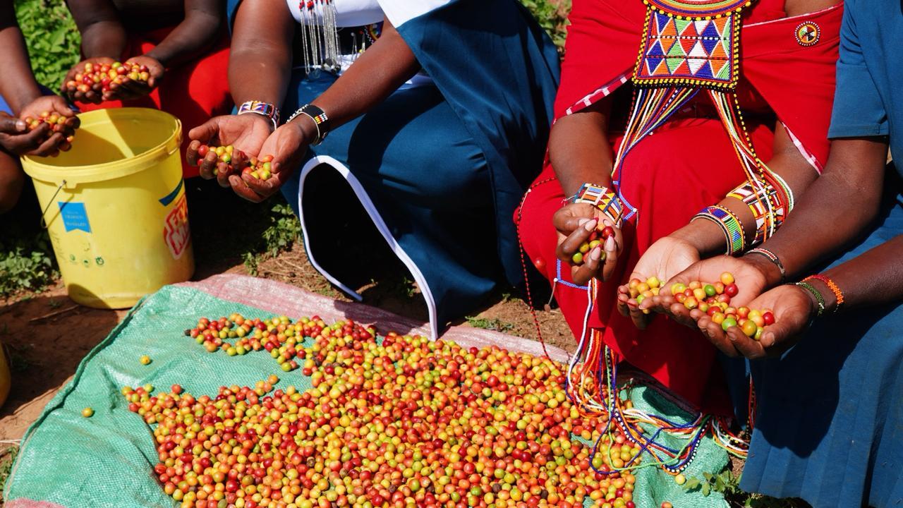 Community-based agroforestry impact