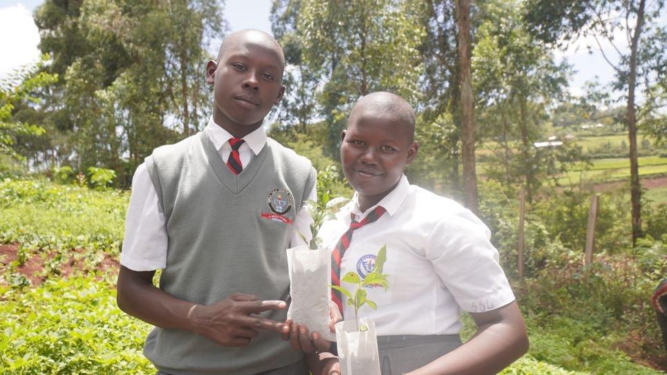 School support