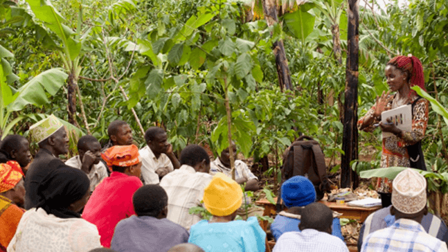Farmer training session
