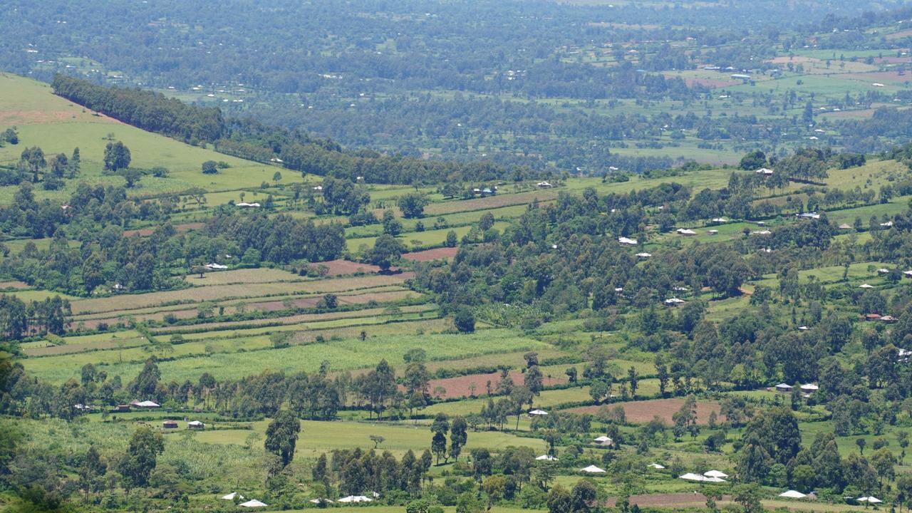 Smallholder coffee farm visit