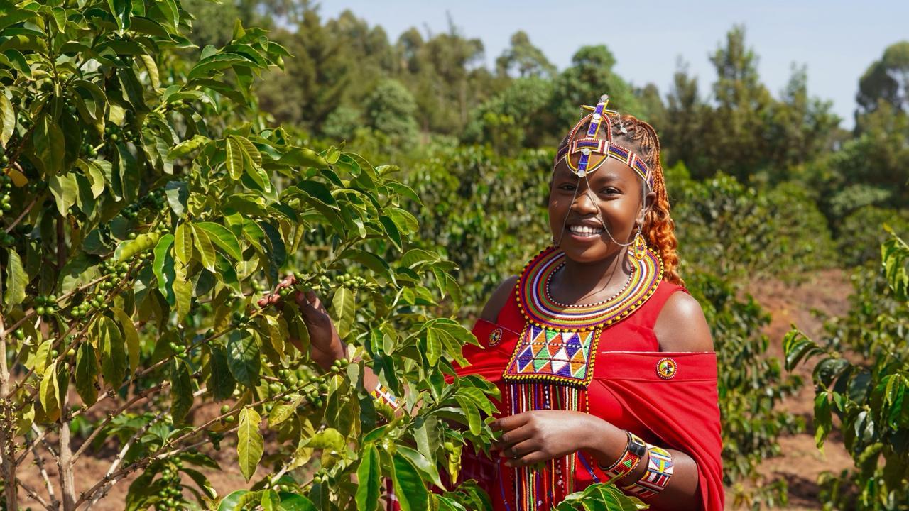 Agroforestry activity