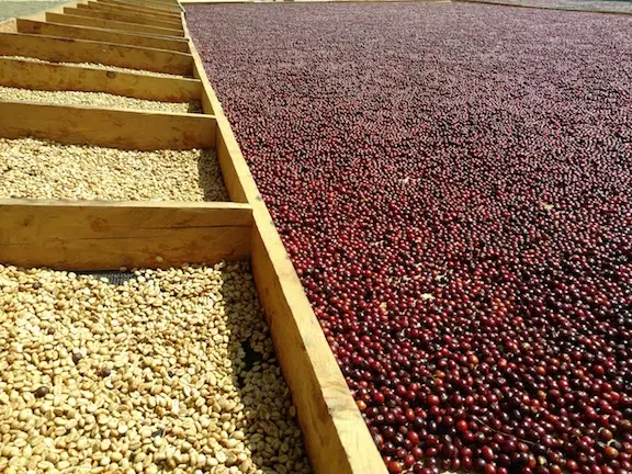 Drying area